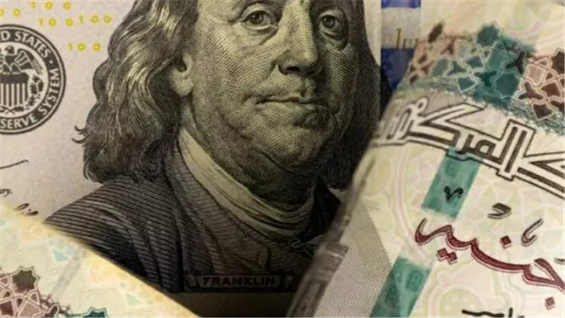 تحديث لحظي لأسعار الدولار في مصر.. استقرار ملحوظ بمستهل التعاملات