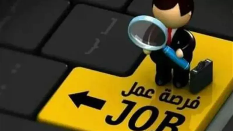 دليل التقديم على وظائف وزارة العمل 2026.. الرابط الرسمي والمستندات المطلوبة للتعيين