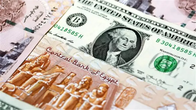 استقرار سعر الدولار أمام الجنيه المصري: هدوء في التداولات بمنتصف تعاملات الأحد