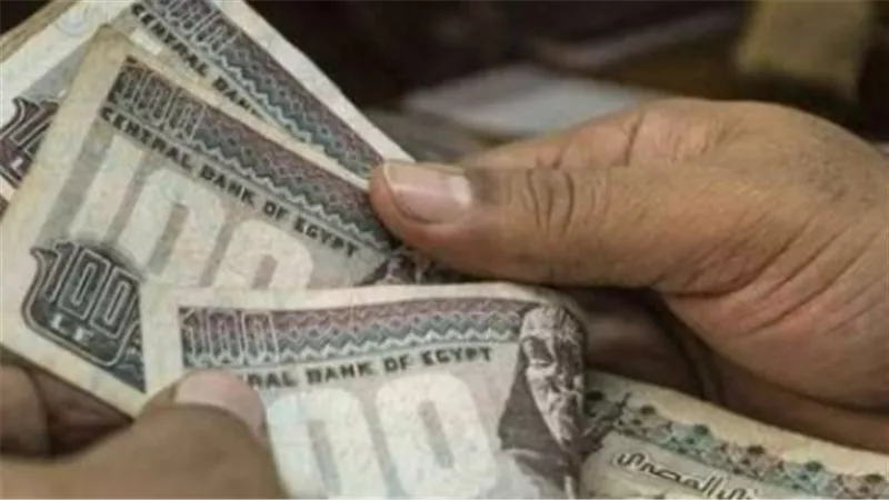 علاوات دورية وحافز إضافي.. خريطة تحسين دخول العاملين بالجهاز الإداري للدولة
