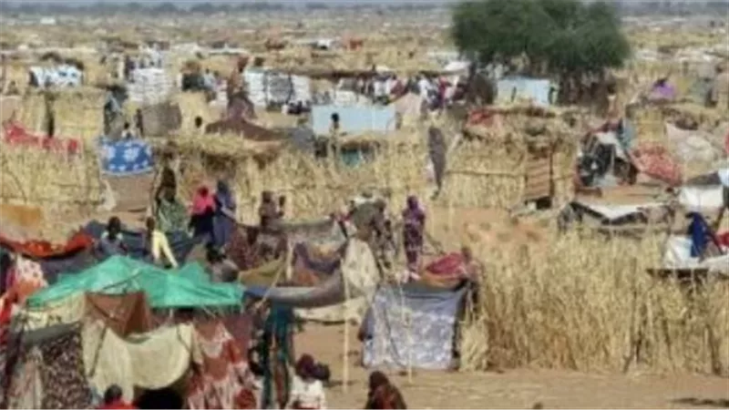 صندوق الأمم المتحدة للسكان يؤكد ضرورة زيادة الدعم الدولى للشعب السودانى