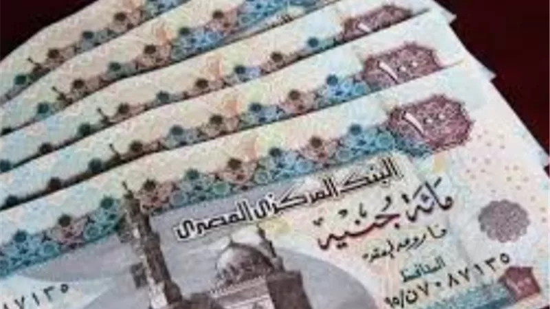 رسميًا.. التأمينات تعلن موعد صرف معاشات شهر مايو لـ 11.5 مليون مواطن