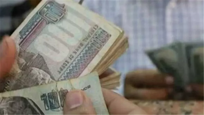 كيفية الاستعلام عن قيمة معاش شهر مايو 2026 عبر موقع الهيئة القومية
