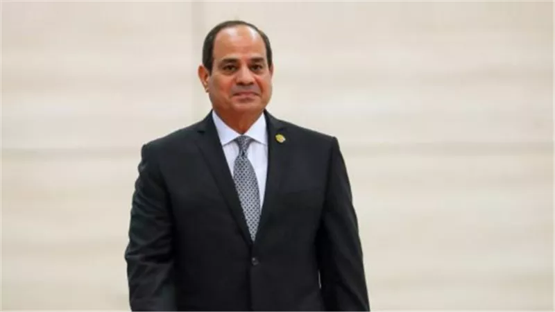 الرئيس السيسي يبحث مع رئيس فنلندا آفاق الشراكة الشاملة
