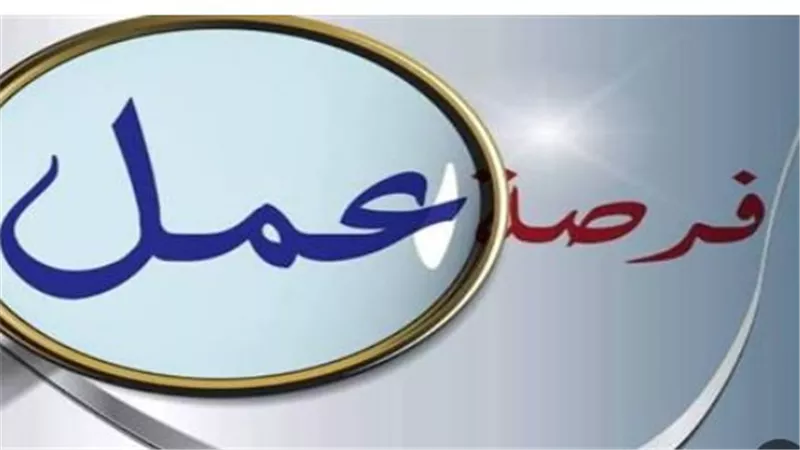 بشرى للشباب وذوي الهمم.. تفاصيل 6700 فرصة عمل في 69 شركة بالقطاع الخاص