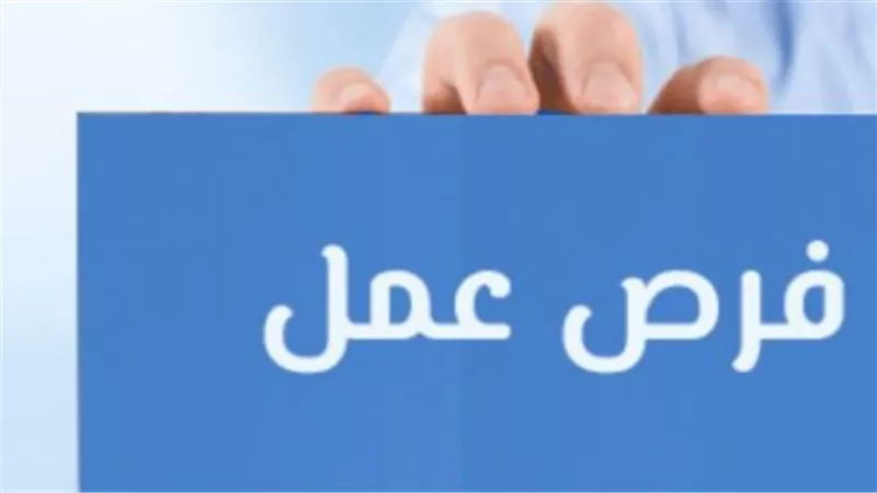 كيفية التقديم على وظائف وزارة العمل 2026.. دليلك الكامل للتخصصات والمحافظات