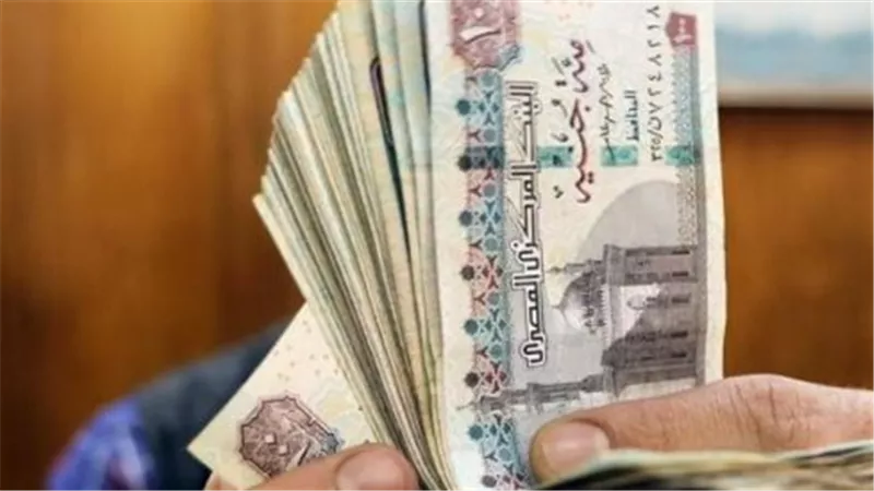 رابط الاستعلام عن معاشات مايو 2026 بالرقم القومي عبر موقع الهيئة القومية للتأمين