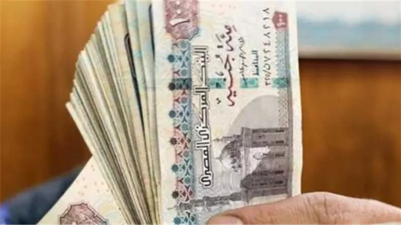 دليل أصحاب المعاشات الشامل لصرف شهر مايو 2026 والاستعلام عن الزيادات الجديدة