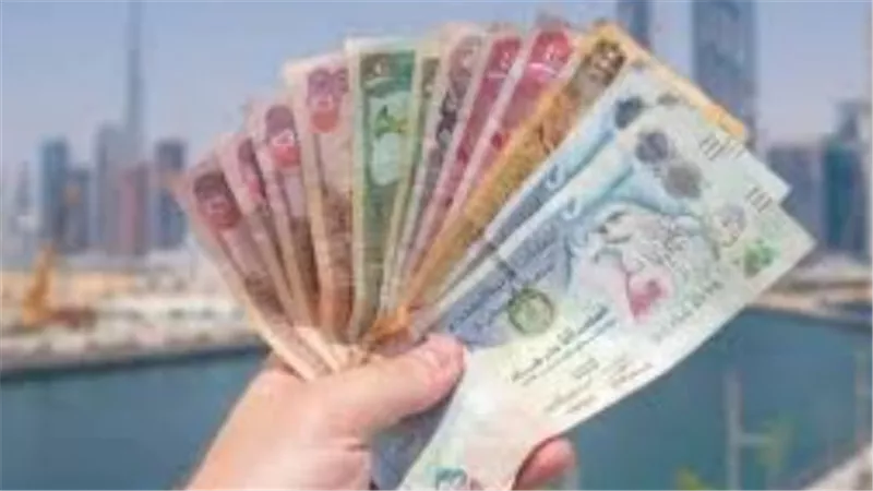 تحديث أسعار العملات العربية.. الدرهم الإماراتي يحافظ على استقراره بالبنوك المصرية