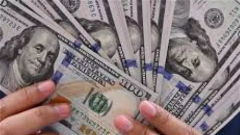 الدولار في البنك المركزي والبنوك الحكومية: الثبات سيد الموقف في تعاملات الأربعاء