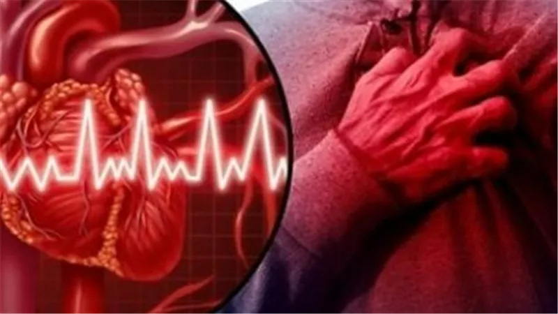 دليلك الطبي لفهم الجلطة المفاجئة: ماذا يحدث للجسم عند توقف ضخ الدم؟