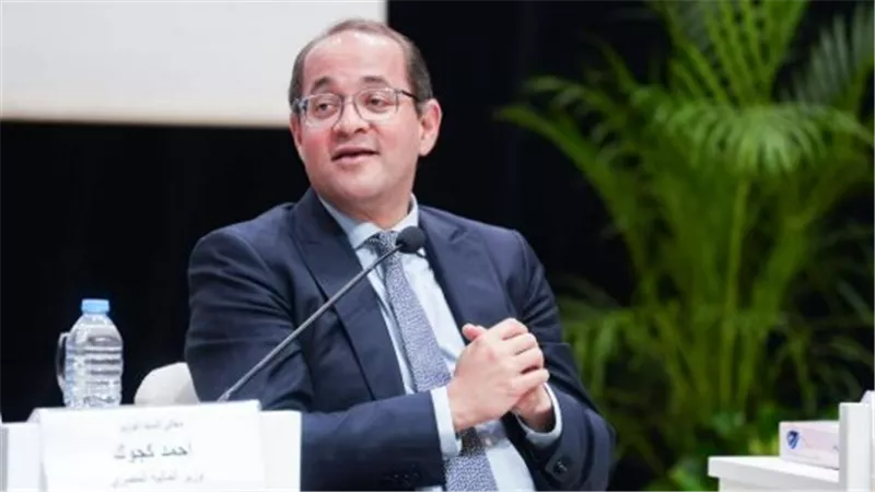 دور أحمد كجوك في الدعم الفني وإدارة المجموعات الاقتصادية