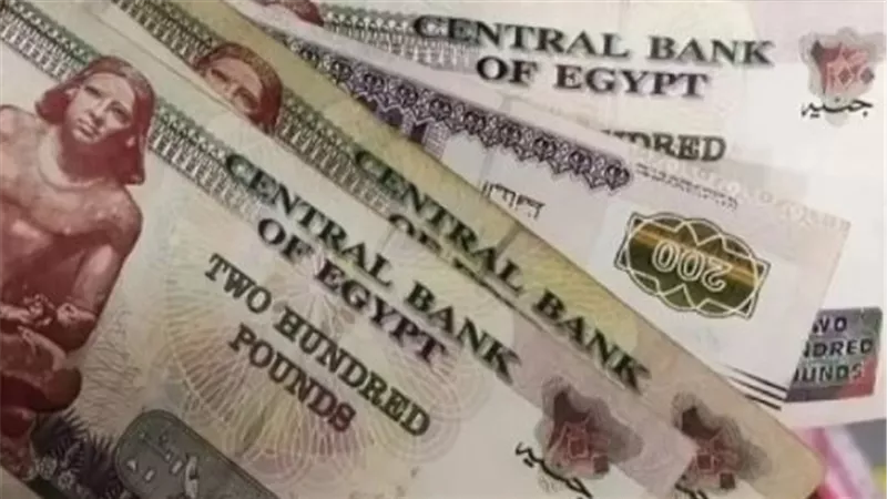 لمستخدمي المحافظ الإلكترونية.. ميزة جديدة لتسهيل صرف معاشات مايو 2026 دون زحام