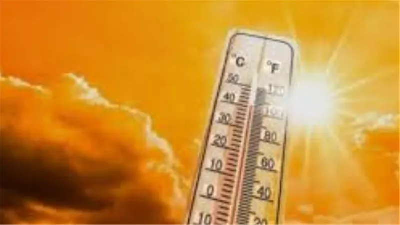 الهيئة العامة للأرصاد الجوية تحذر من شبورة مائية كثيفة على الطرق السريعة صباح اليوم
