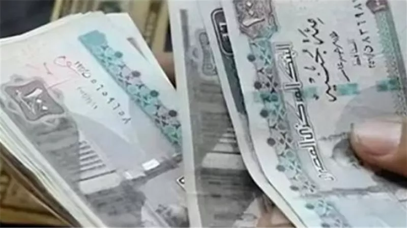 تحديث شامل لمنظومة المعاشات.. كيف ستغير 