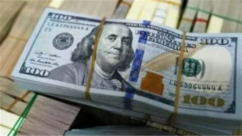 أداء العملة الأجنبية: الدولار يواصل الثبات أمام الجنيه في مستهل تعاملات عطلة الأسبوع