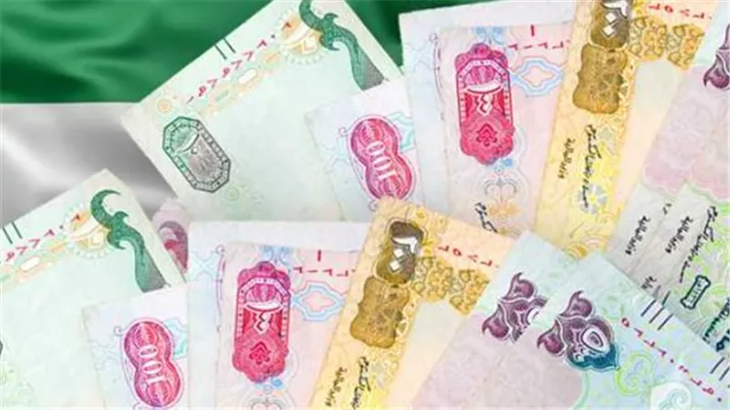 تحديثات الصرف: كم سجل الدرهم الإماراتي مقابل الجنيه المصري في العطلة الأسبوعية؟