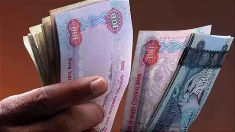 سعر الدرهم الإماراتي في البنك المركزي والأهلي المصري.. قائمة الأسعار الكاملة