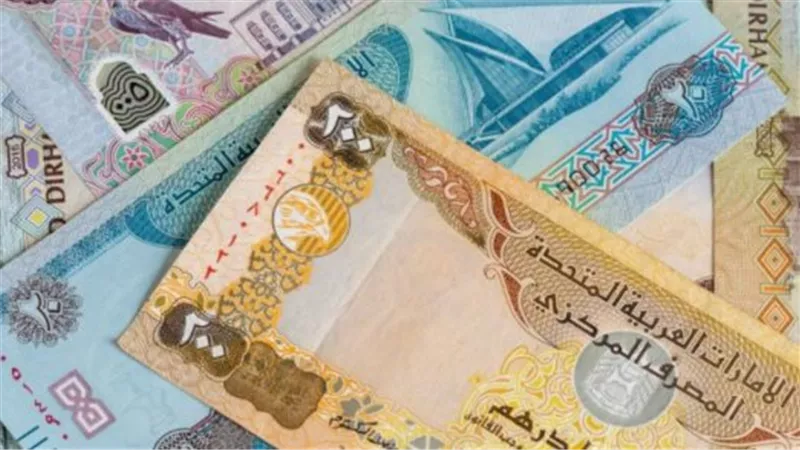البنك المركزي المصري يعلن متوسط أسعار الدرهم الإماراتي في ختام تعاملات الأسبوع