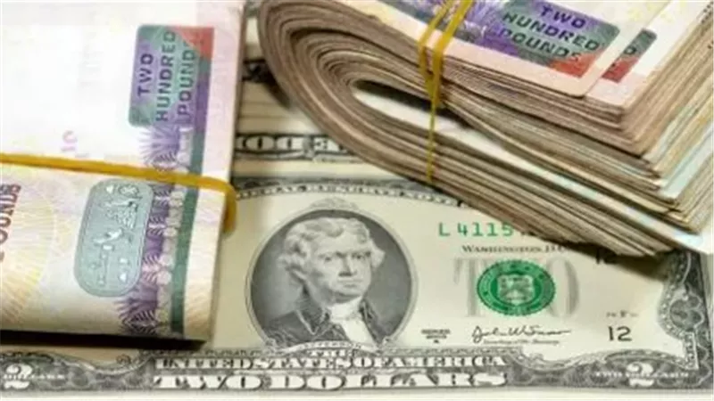 الثبات سيد الموقف: سعر الدولار في البنوك المصرية يسجل مستويات متوازنة مع نهاية أبريل