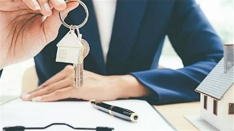 عصب الاستثمار القومي: التطوير العقاري كفن لتحويل الأفكار إلى صروح معمارية