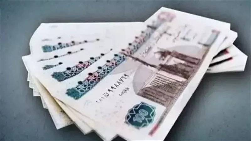 كيف تحصل على راتبك بسهولة؟ وزارة المالية تتيح 6 طرق لصرف مرتبات مايو