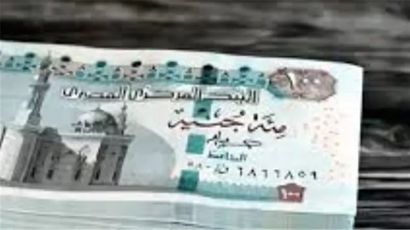 المالية تحدد 19 مايو لبدء صرف الرواتب.. ننشر تفاصيل زيادة يوليو وخريطة منافذ الصرف الرقمية