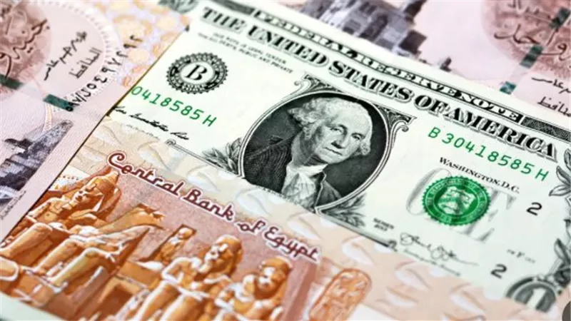 سعر الدولار في البنك المركزي المصري.. هل تستمر حالة الاستقرار أمام الجنيه؟