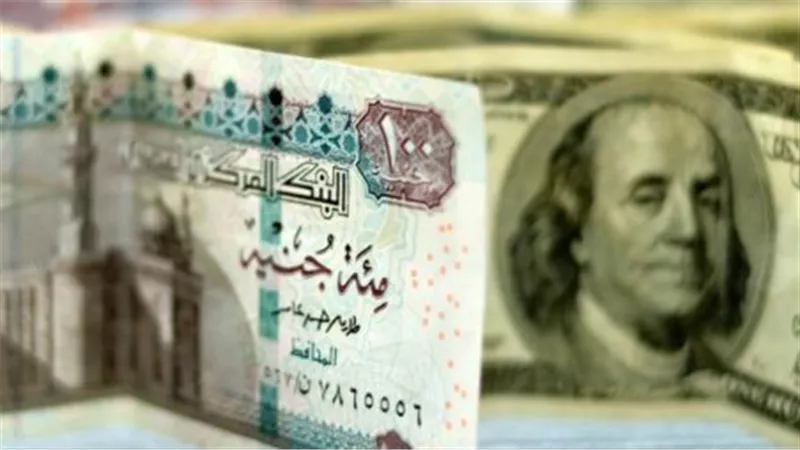 أسعار العملات اليوم: الدولار يراوح مكانه في بنك الإسكندرية والعربي الإفريقي