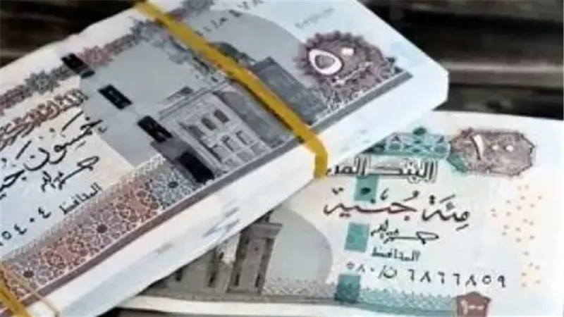 الحماية الاجتماعية للمتعطلين: كيف تدعمك الدولة ماديًا حتى تجد وظيفة جديدة؟