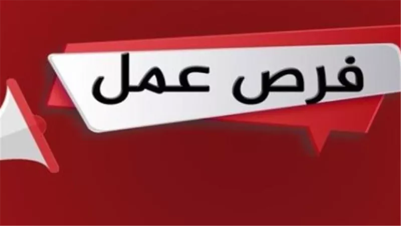 فرص عمل شاغرة لـ 1200 شاب بمدينة السادس من أكتوبر(التخصصات والوظائف المطلوبة للتعيين)