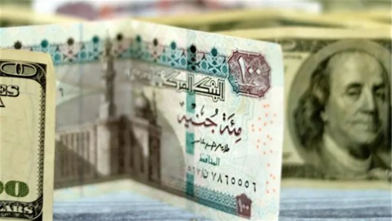 استقرار سعر الدولار بمنتصف التعاملات.. نظرة شاملة على أداء الجنيه أمام العملة الخضراء