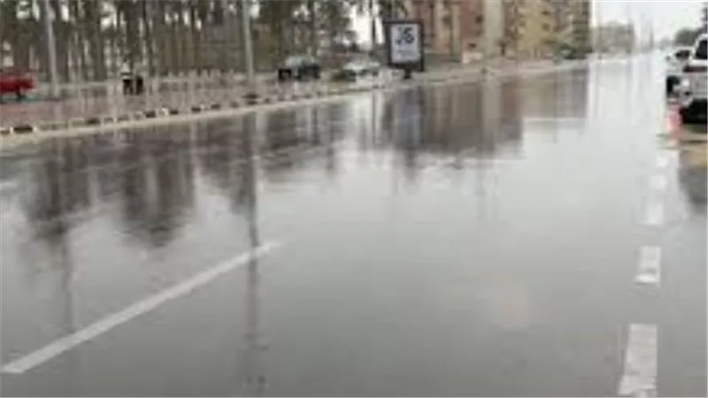 تحذير عاجل من الأرصاد للسائقين.. الشبورة تسيطر على الطرق ونشاط للرياح في طقس الأربعاء