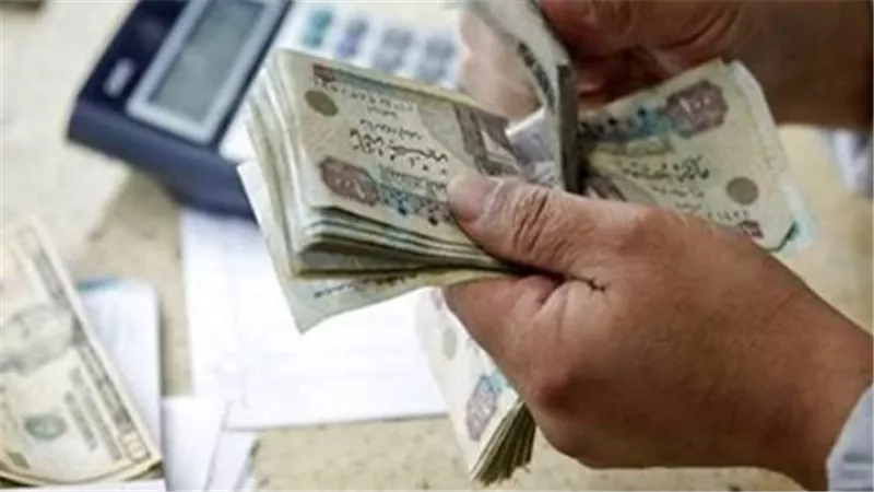 البنك المركزي المصري يثبت أسعار الفائدة عند 19%.. ماذا يعني ذلك لمدخراتك؟