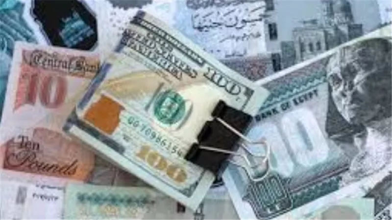 استقرار سعر الدولار أمام الجنيه المصري: ماذا يعني ذلك للمستثمرين والمتعاملين في الأسواق؟