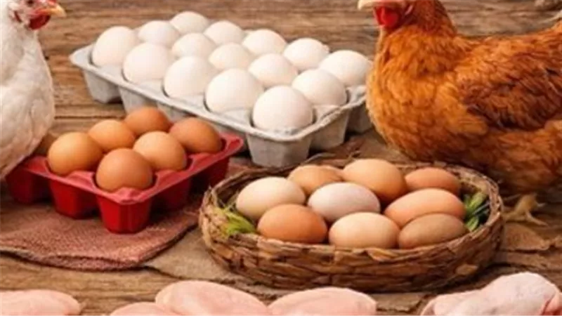 أسعار البيض اليوم في مصر: كرتونة البيض الأحمر والأبيض والبلدي تحت مجهر المستهلك