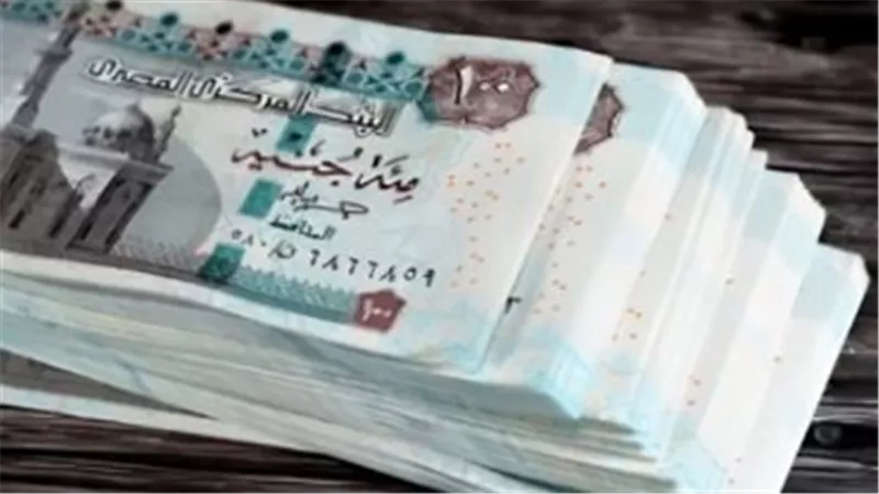 رئيس هيئة التأمينات يكشف لمجلس النواب تفاصيل التحول الرقمي الشامل وموعد انتهاء أزمات الربط الإلكتروني