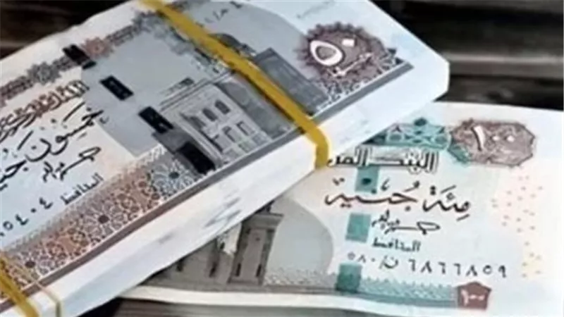 تحديث بيانات البطاقات التموينية: ضرورة تقنية لضمان استمرار الصرف