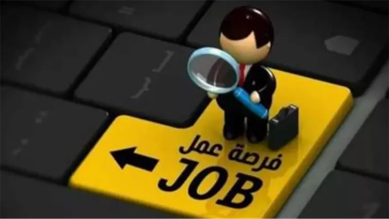 نشرة توظيف مايو 2026: تخصصات متنوعة ورواتب مجزية في 11 محافظة مصرية