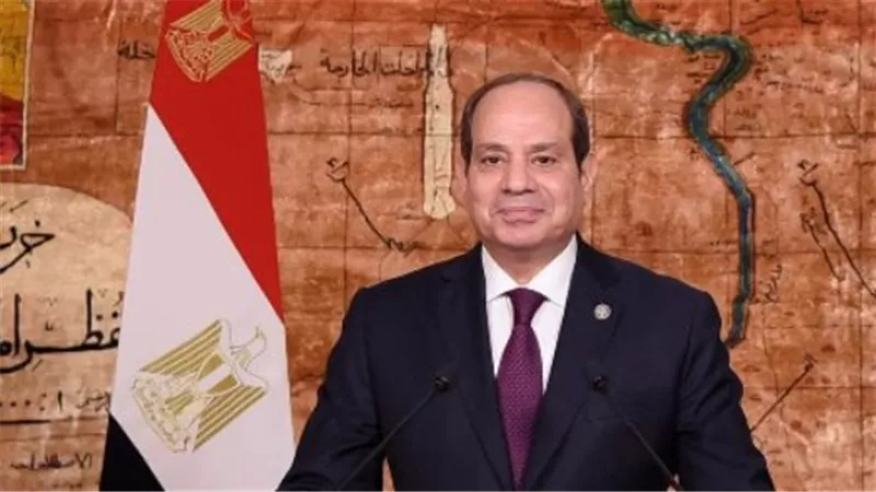 مصر ومنظمة التعاون الاقتصادي.. تنسيق رفيع المستوى لتحقيق رؤية مصر 2030