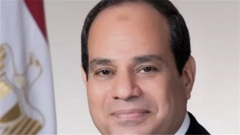 شراكة استراتيجية بالاتحادية.. محاور تعاون مصر مع منظمة التعاون الاقتصادي والتنمية