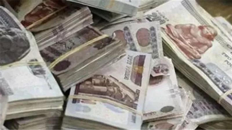 بالرقم القومي.. خطوات الاستعلام عن قيمة معاش شهر يونيو 2026 عبر الإنترنت