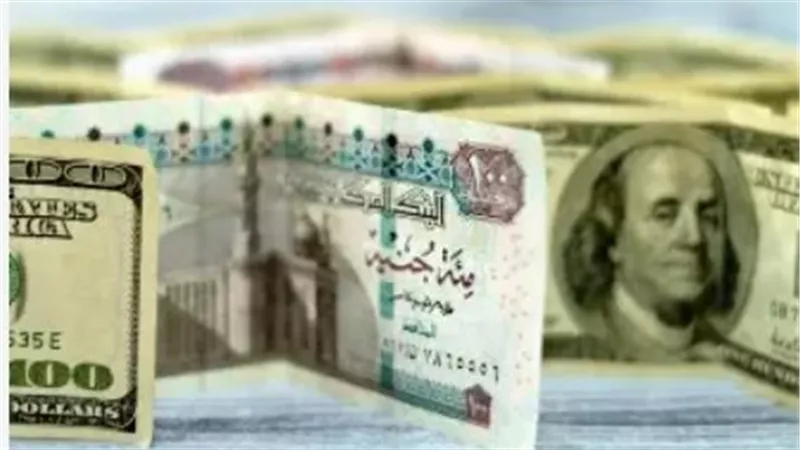 استقرار الدولار في بنك البركة والمصرف المتحد.. قراءة في تحركات العملة الخضراء اليوم