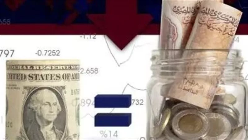 سعر الدولار في بنك البركة اليوم.. أقل سعر شراء عند 53.65 جنيه في تعاملات مايو