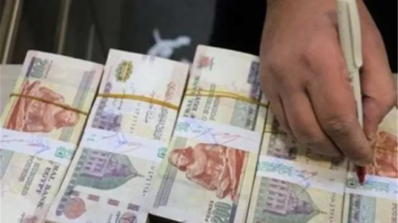 استثمارك الآمن في 2026.. دليلك الشامل لأفضل شهادات الادخار بالبنوك المصرية