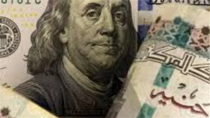 الدولار يواصل الثبات أمام الجنيه المصري.. قائمة الأسعار في البنك المركزي والبنوك الكبرى