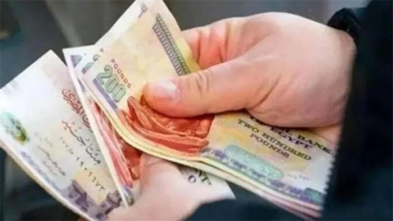 منظومة التأمينات الجديدة.. تدريب 14 ألف موظف وإنجاز 40% من طلبات المواطنين المتراكمة