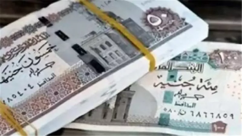 أهمية الدراسات الاكتوارية في تحديد نسبة زيادة المعاشات لعام 2026