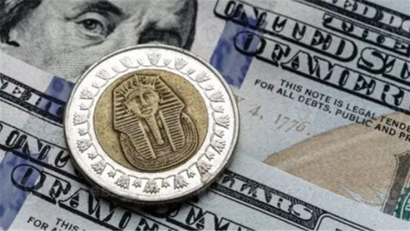 استقرار سعر الدولار أمام الجنيه المصري في تعاملات اليوم الأحد 10 مايو 2026 بالبنوك