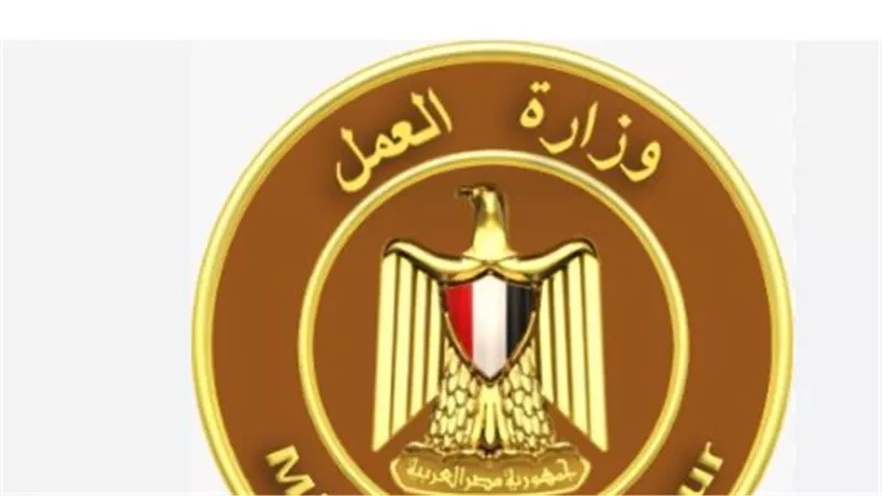 خريطة وظائف وزارة العمل مايو 2026.. التجمع والمقطم ومدينة نصر في المقدمة